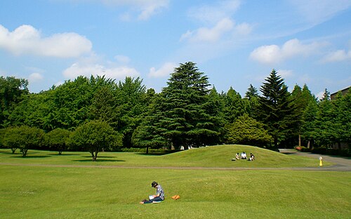 国際基督教大学