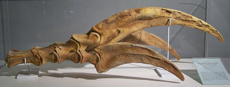 Therizinosaurus
