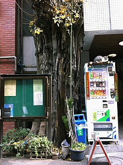 タリーズコーヒー