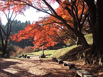 栃木県