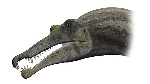 Spinosaurus