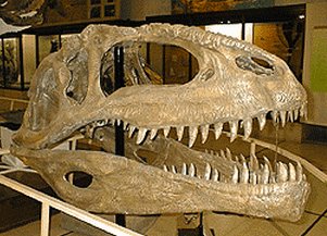 Giganotosaurus